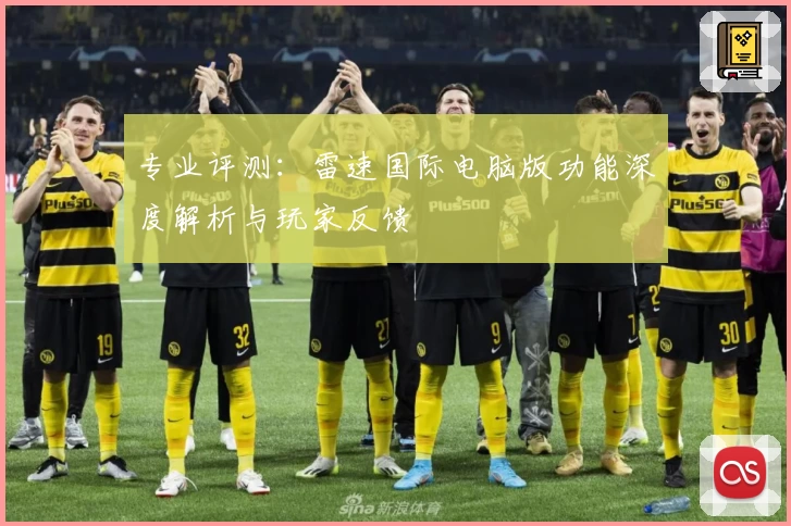 专业评测：雷速国际电脑版功能深度解析与玩家反馈