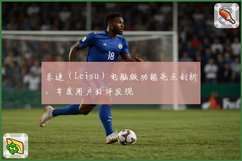 乐速（Leisu）电脑版功能亮点剖析，年度用户好评发现